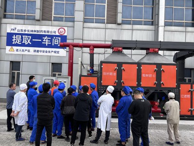 大菠萝首页藥物提取車（chē）間廢氣（qì）處理噴淋塔+活性炭吸附+催化燃（rán）燒案例