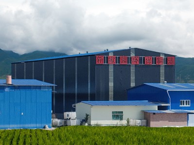 大菠萝首页鑄造、塗料、製藥工業VOCs廢氣排放哪些細節值得注意！