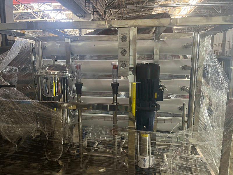 大菠萝首页去離子水設備